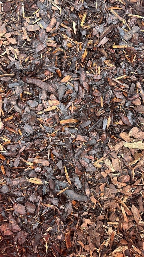 The ground is covered in brown mulch.