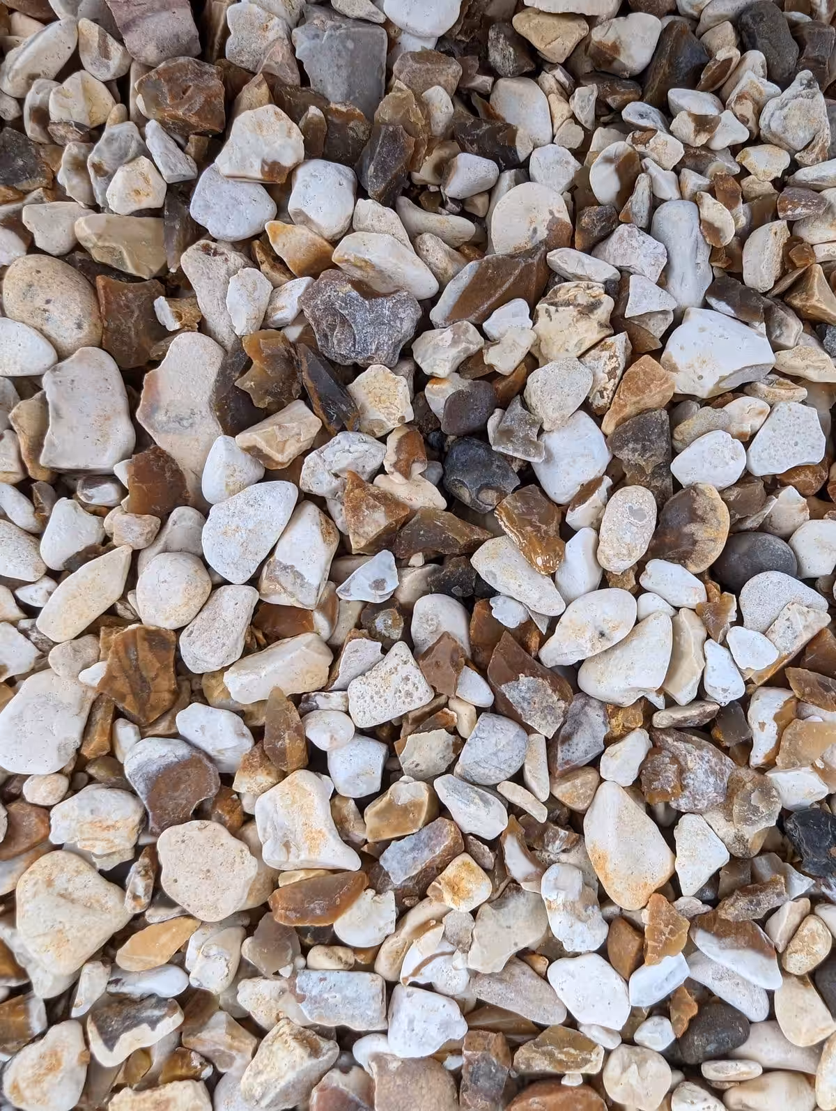 10mm Corn Gravel Close-up of a collection of small, assorted Yellow Corn Gravel pebbles in varying shades.