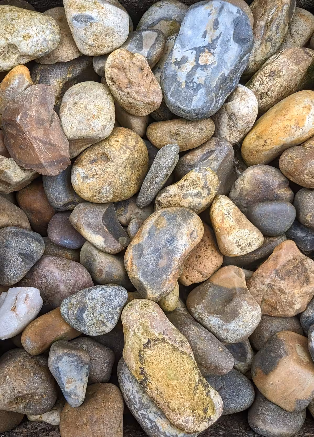 Lomond Gravel (20mm) A collection of Lomond Gravel (20mm) featuring smooth stones in various shapes and colors.