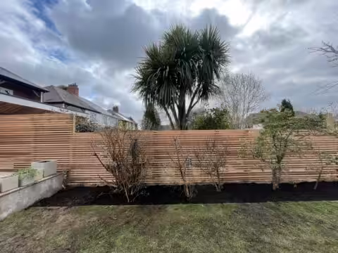 A garden with freshly dug soil at the base of a wooden fence. Several shrubs and a tall palm-like tree are present, under a cloudy sky.